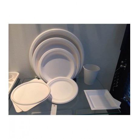 Assiette fibre diam 22 cm